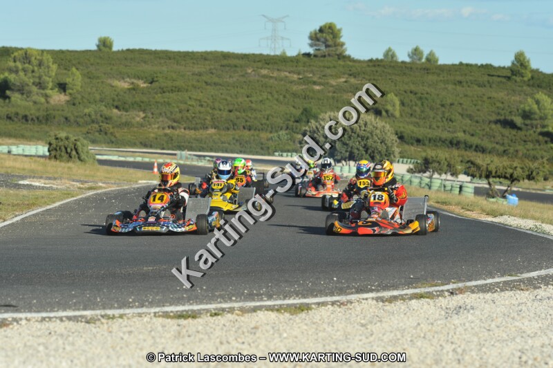 DSC (2114).JPG